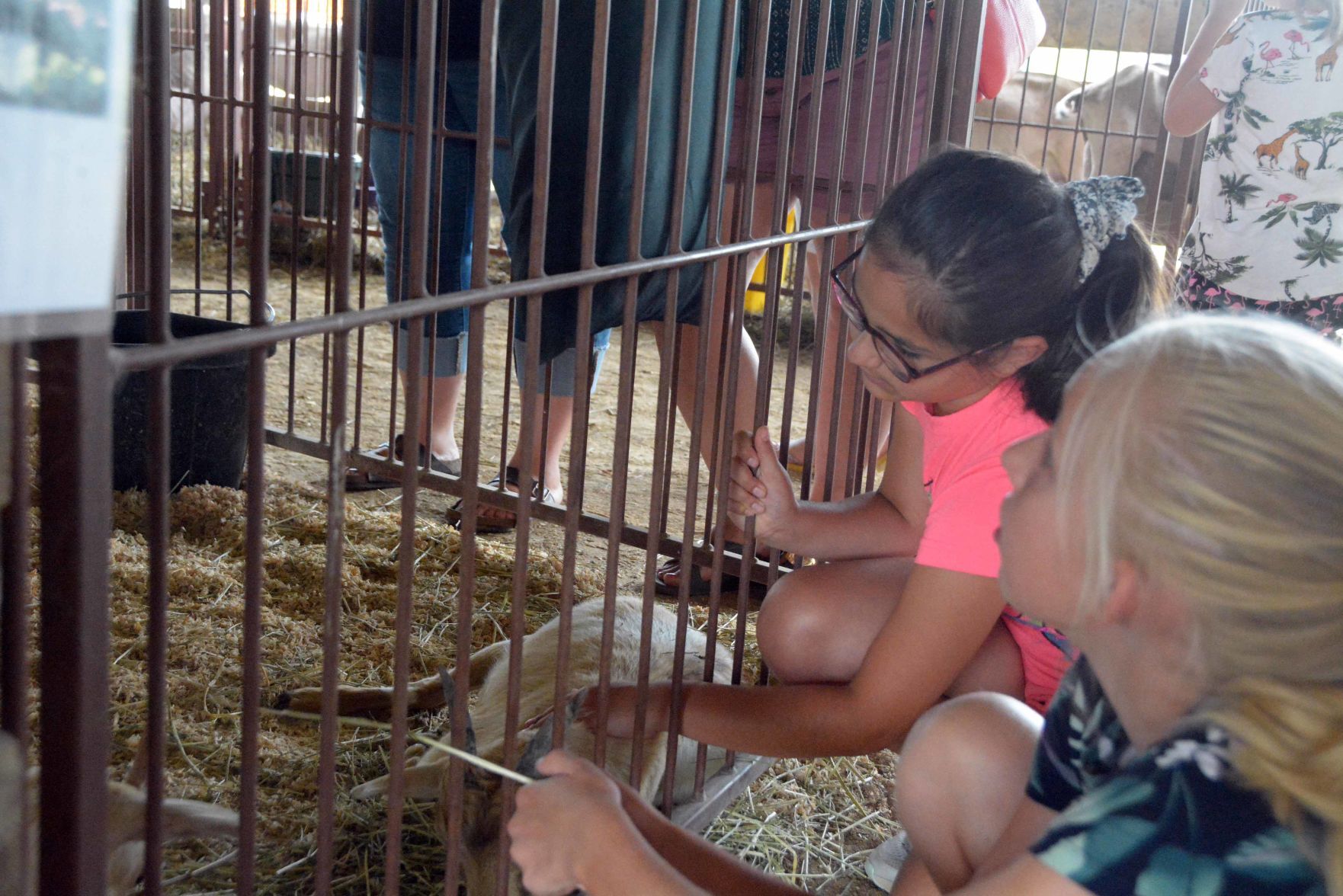 Thursday at the 2021 Sauk County Fair